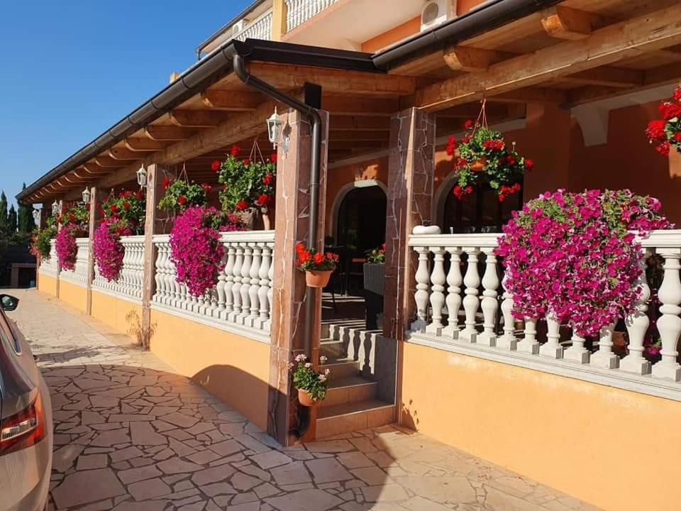 Villa Nikolina 메덜린 외부 사진
